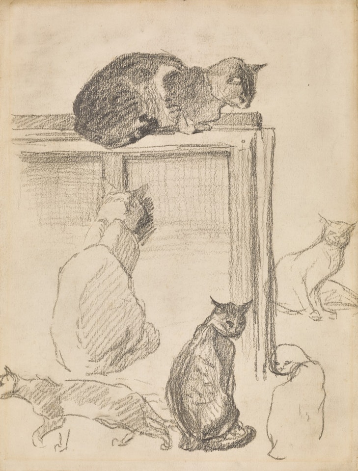 Études des chats by Théophile Alexandre Steinlen