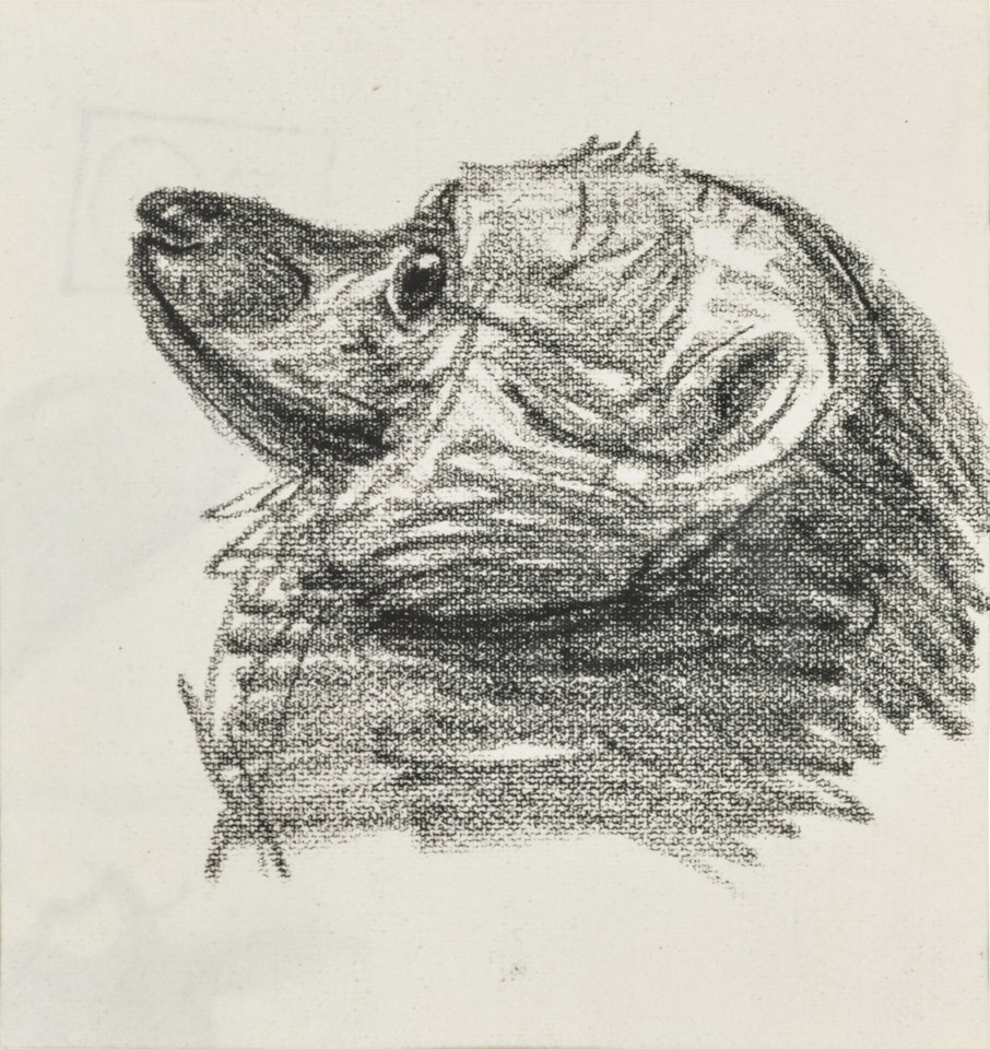 Tête de Pomeranian by Théophile Alexandre Steinlen