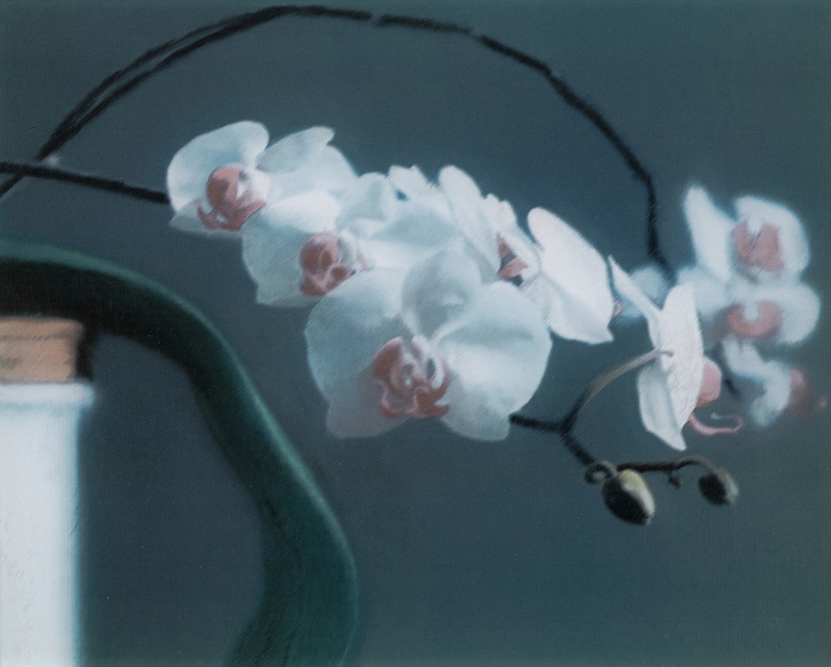 Orchidee II by Gerhard Richter