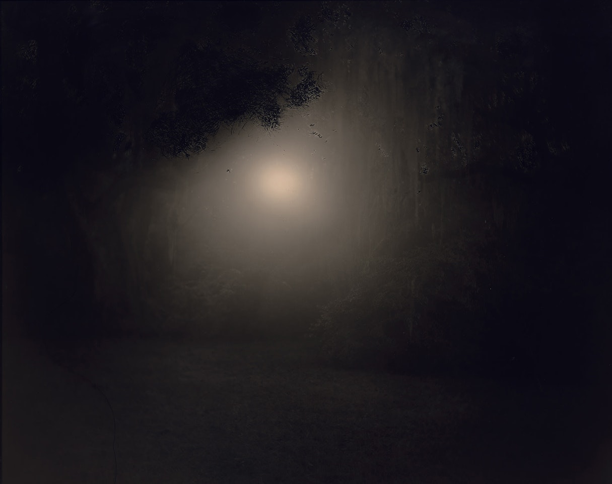 Untitled #7 from Deep South by Sally Mann