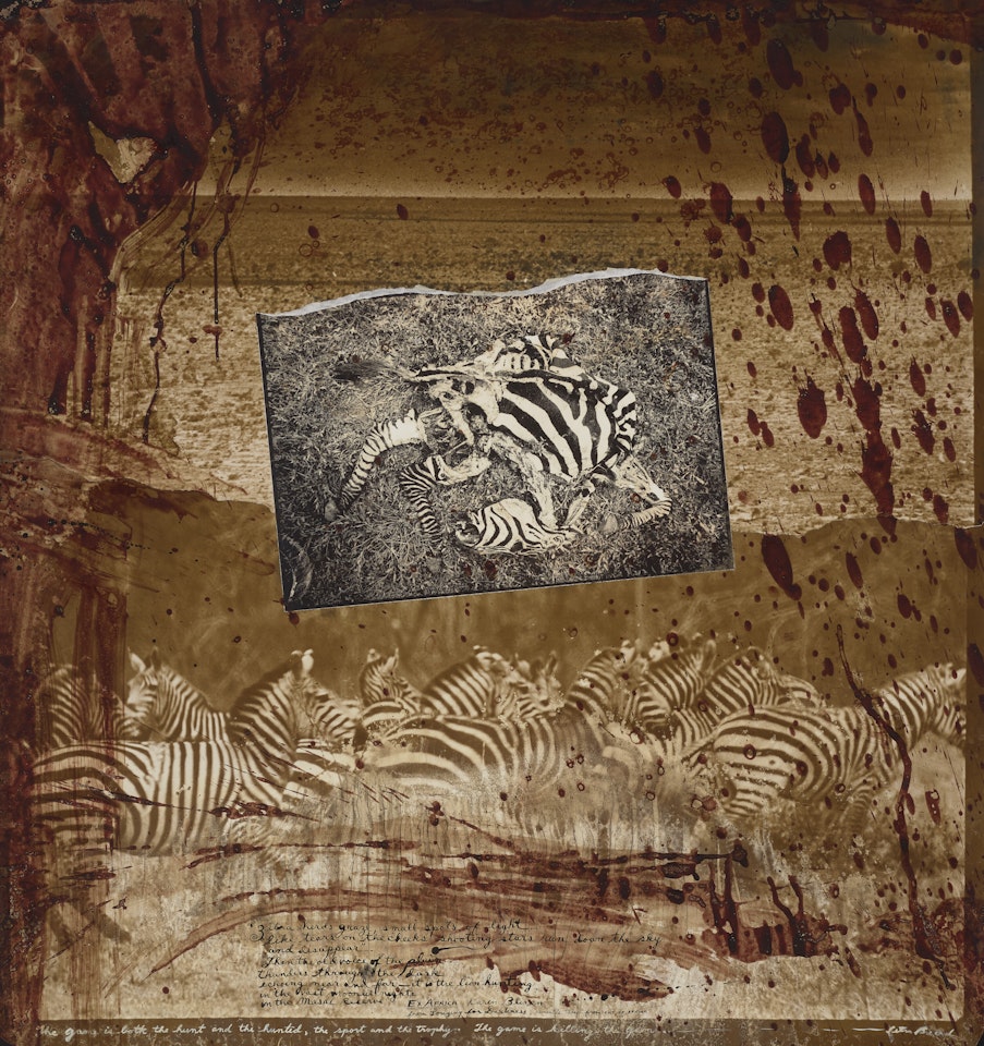 The game is killing the game (Zebra Collage) by Peter Beard