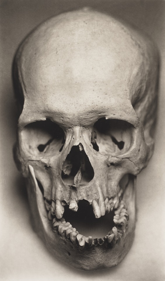 A Cry by Irving Penn