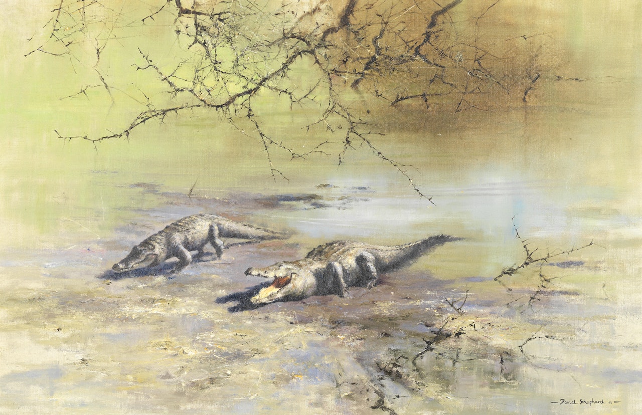 Crocodiles by David Shepherd