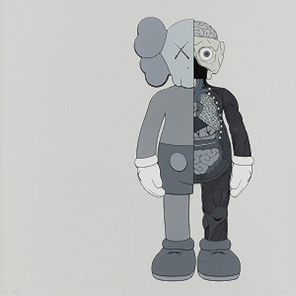 Dissected companion by Kaws