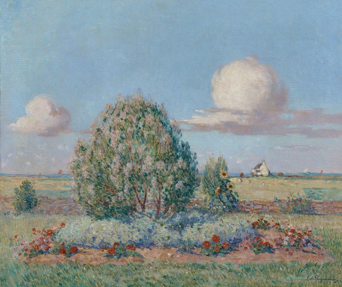 Parterre fleuri by Ferdinand du Puigaudeau