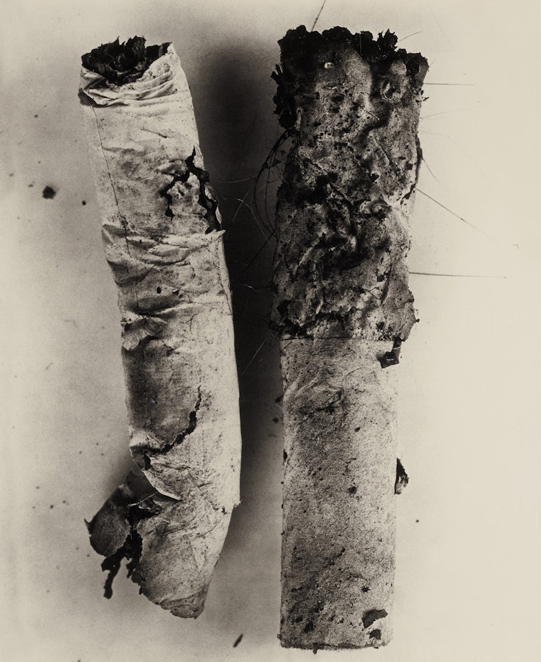 Cigarette No. 17 by Irving Penn