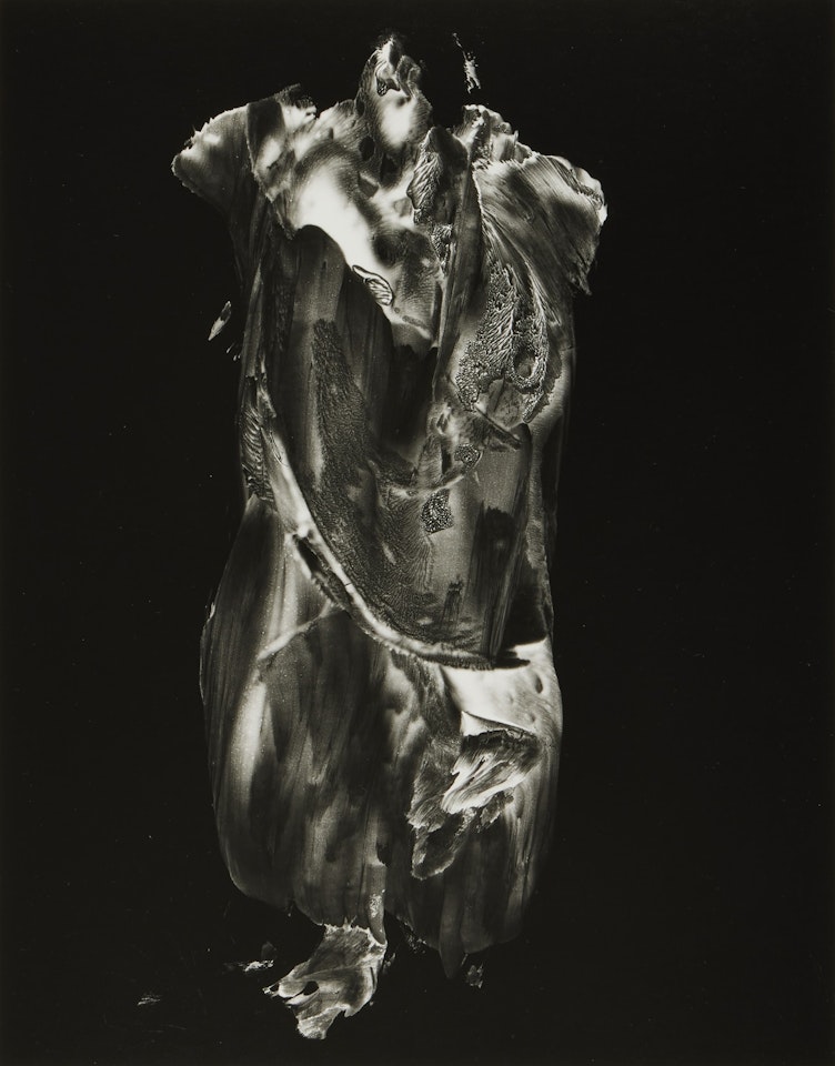 Paracelsus by Frederick Sommer