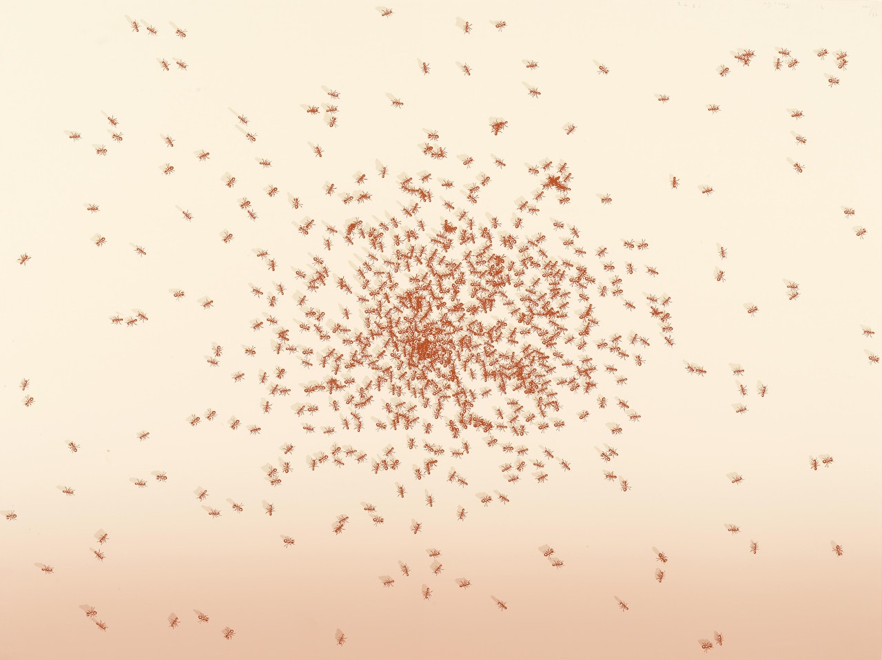 Swarm of Red Ants, from 'Insects' by Ed Ruscha