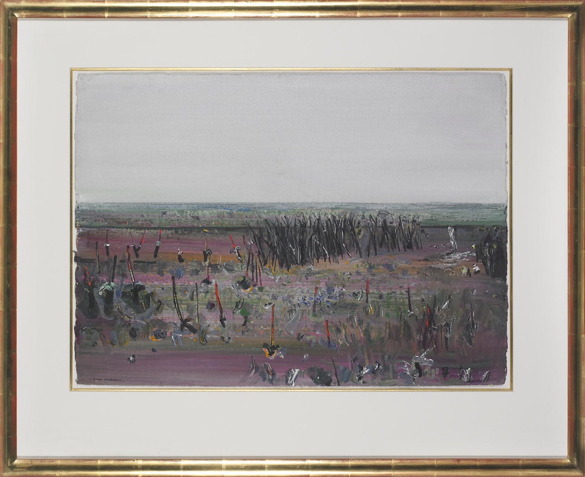 Burnt Ti Trees, Flinders Island by Frederick Ronald Williams