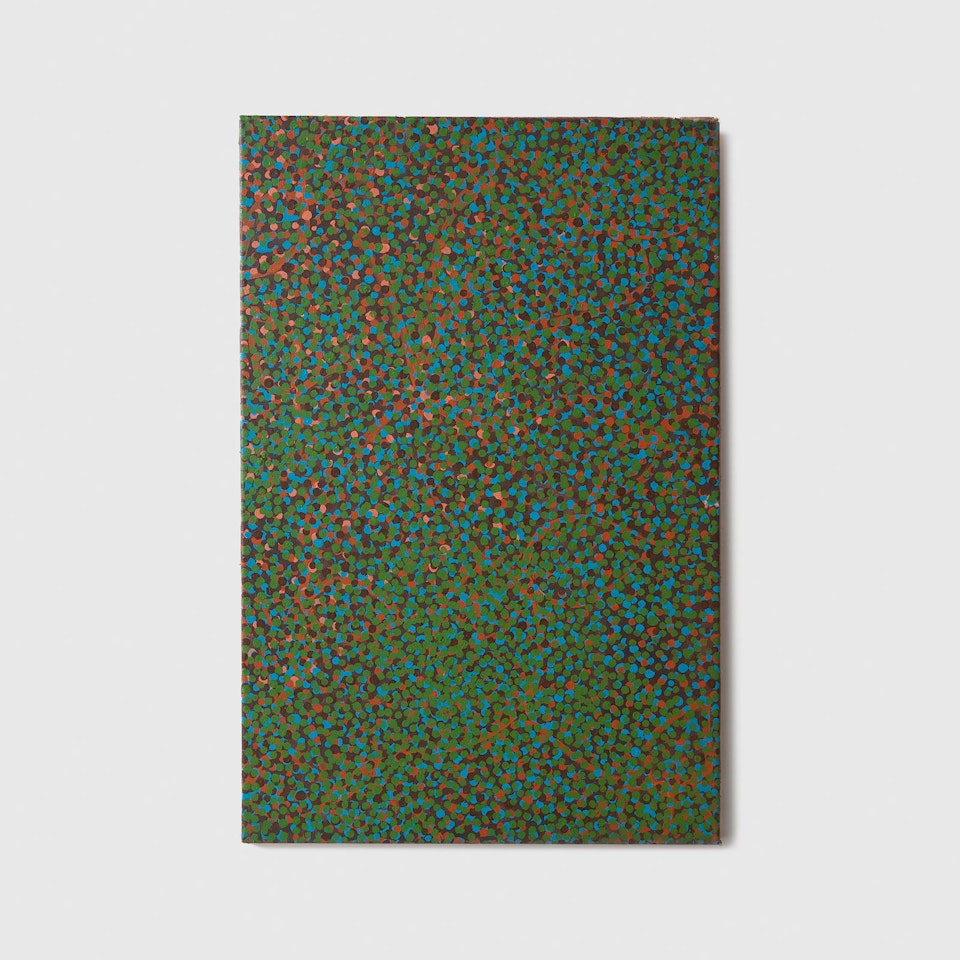 Untitled by Emily Kame Kngwarreye