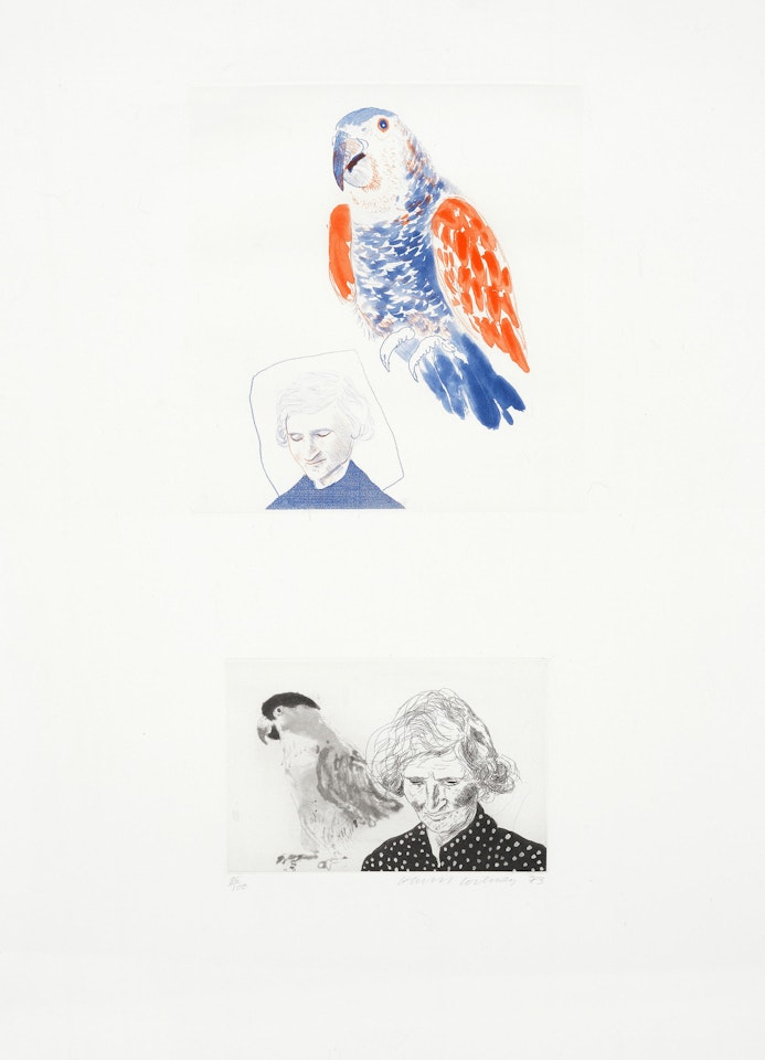 My Mother with a Parrot by David Hockney