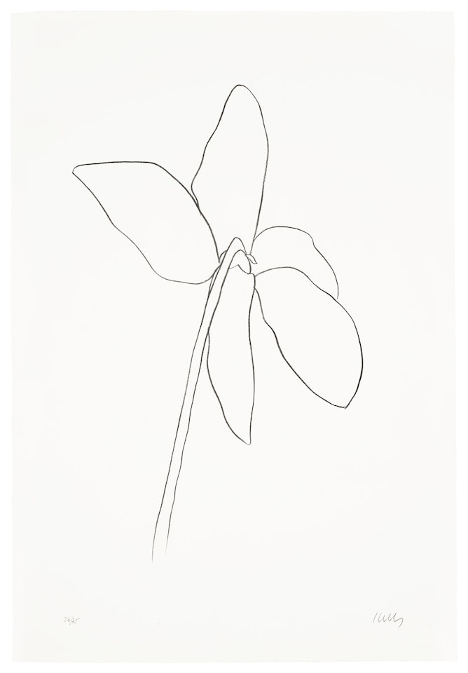 Cyclamen IV, from Suite of Plant Lithographs by Ellsworth Kelly
