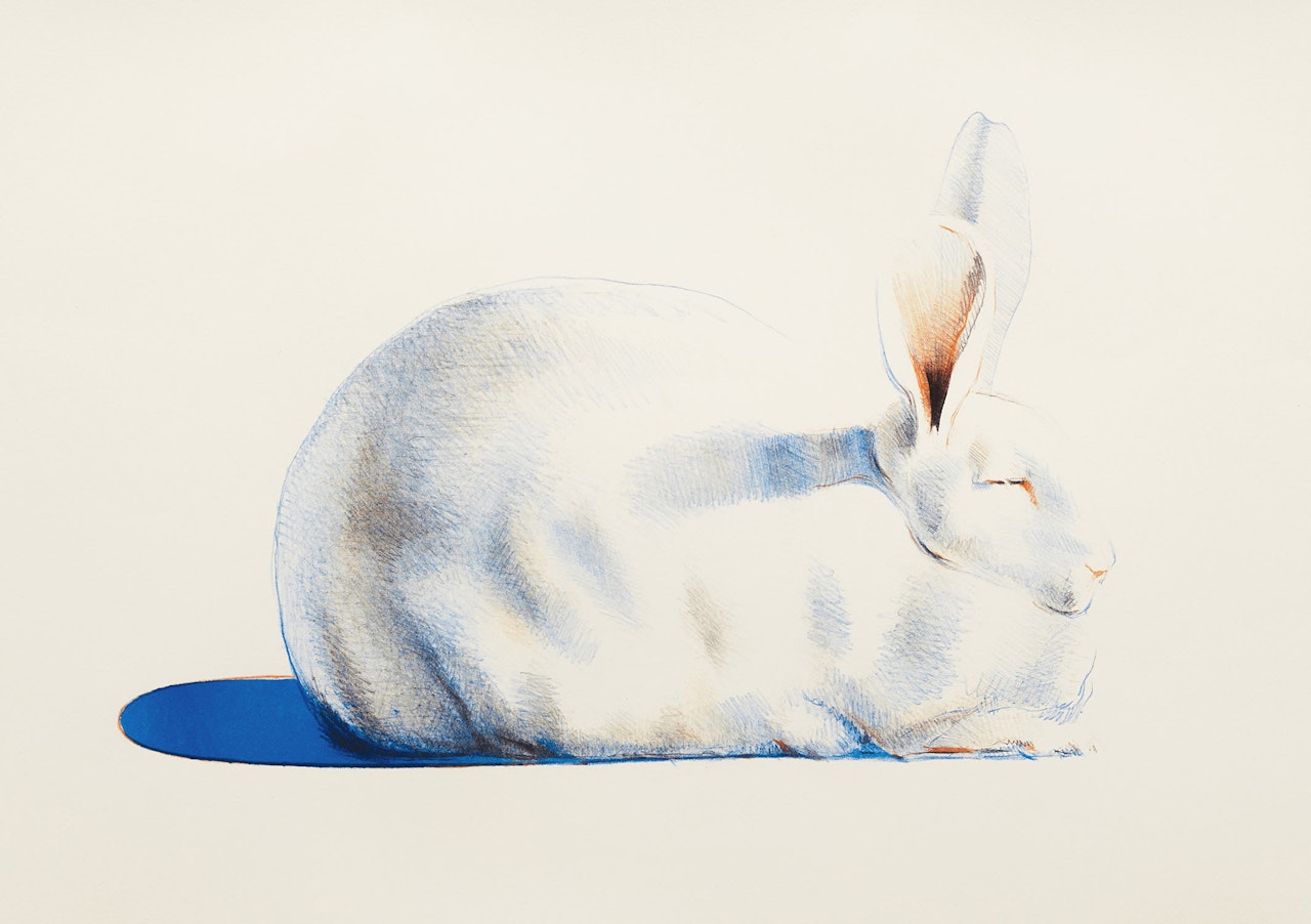 Rabbit, from Seven Still Lifes and a Rabbit by Wayne Thiebaud