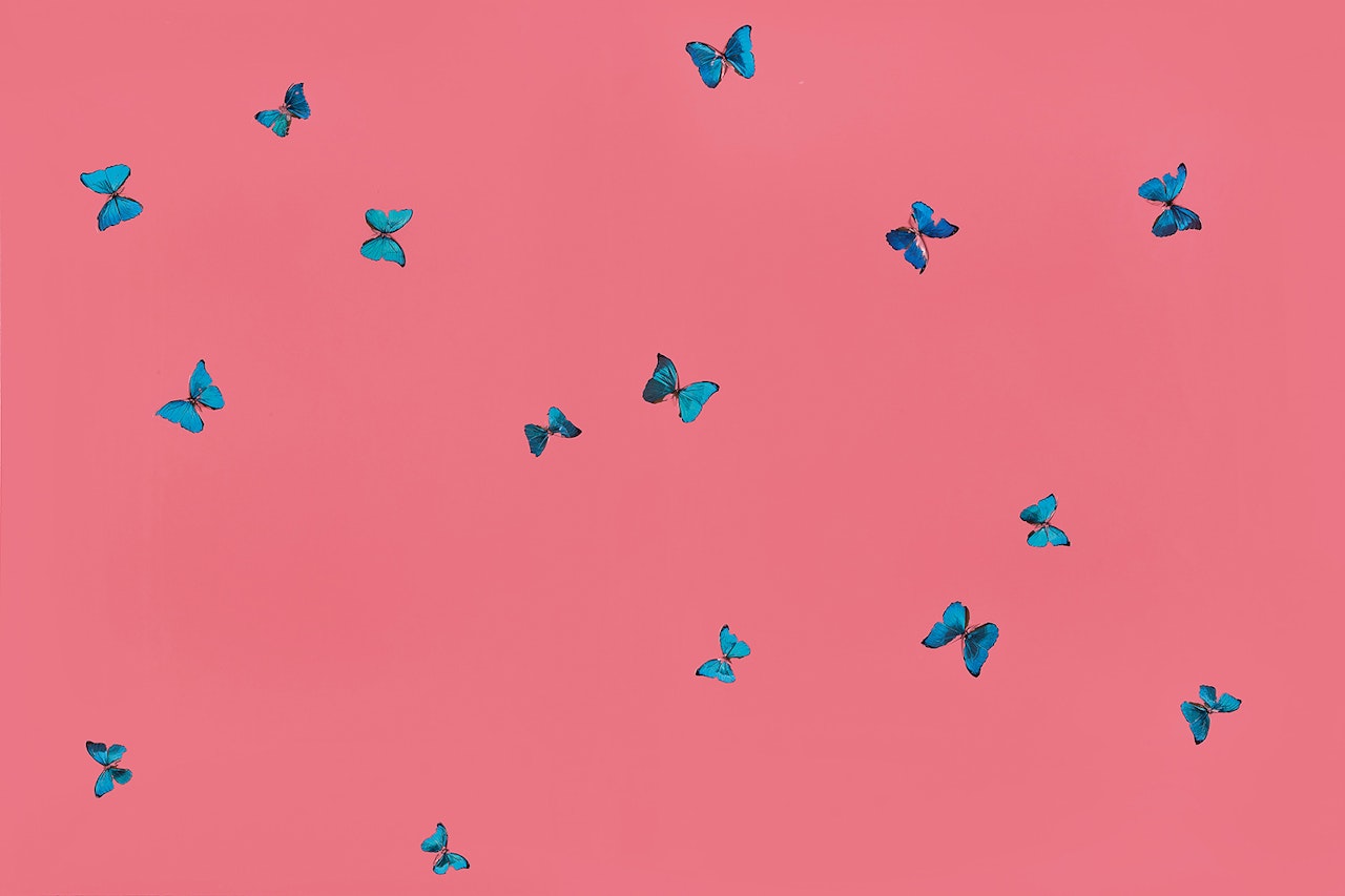 The Cauldron of Morning by Damien Hirst