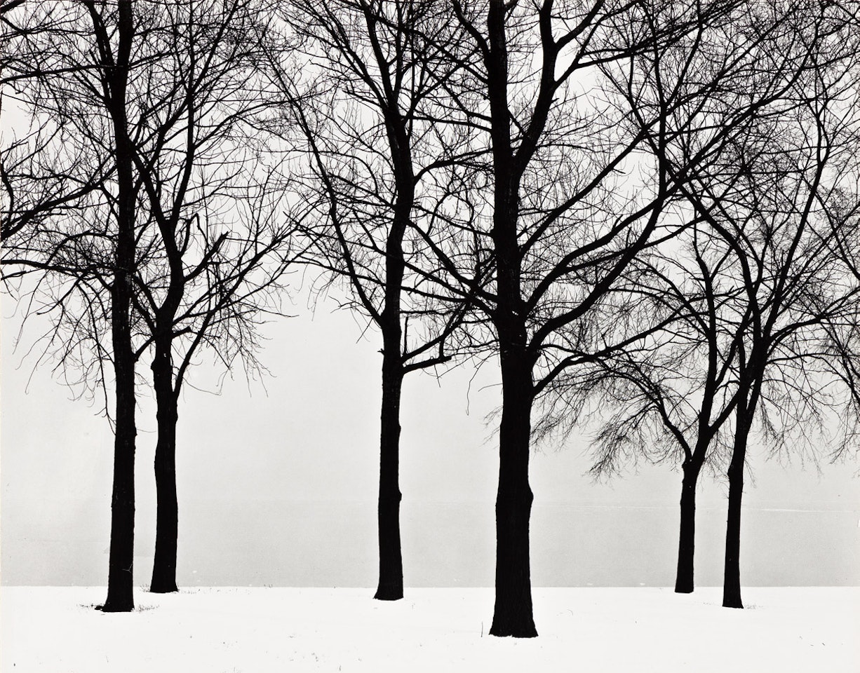Chicago by Harry Callahan