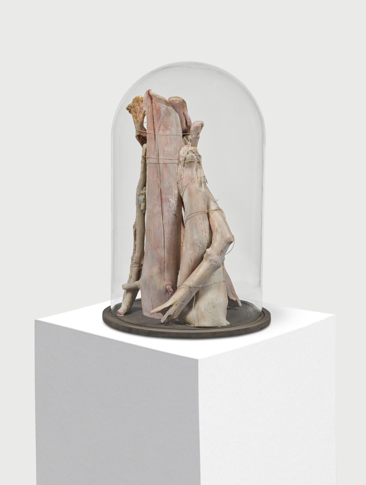 Glass Dome I by Berlinde de Bruyckere