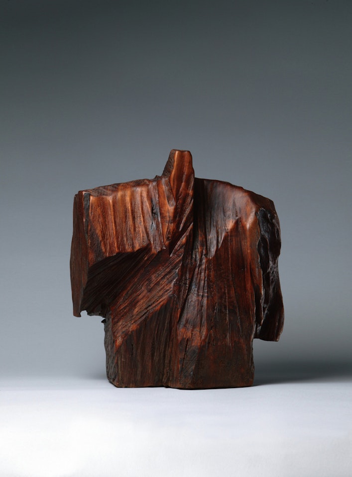 Taichi Series - Underarm Strike by Ju Ming