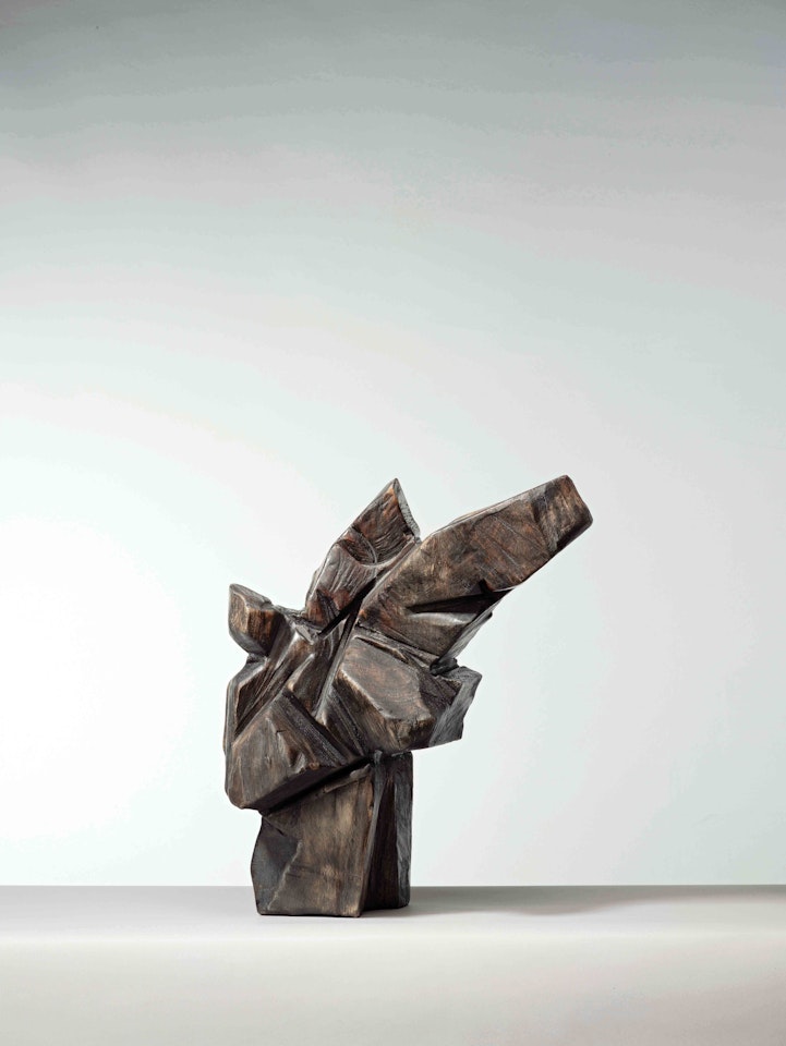 Taichi Series by Ju Ming