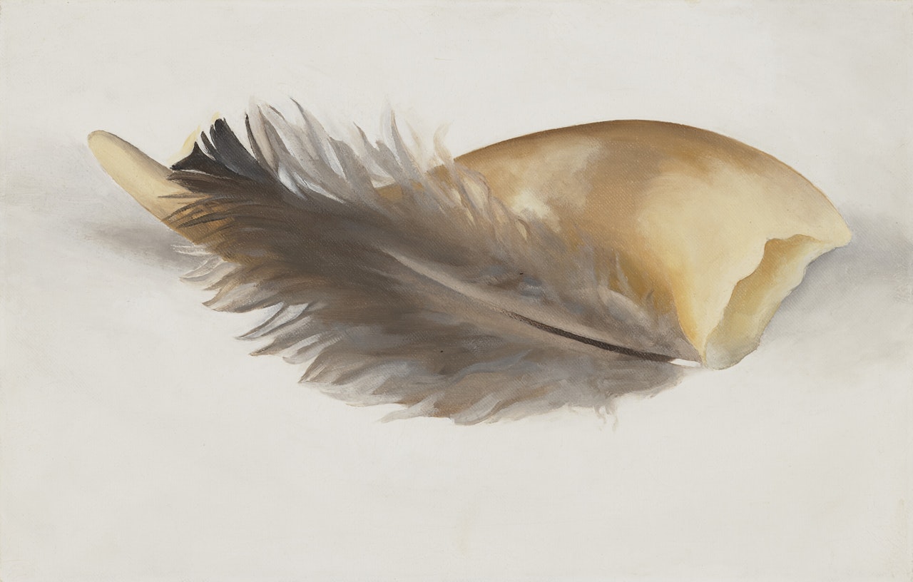 Horn and Feather by Georgia O'Keeffe