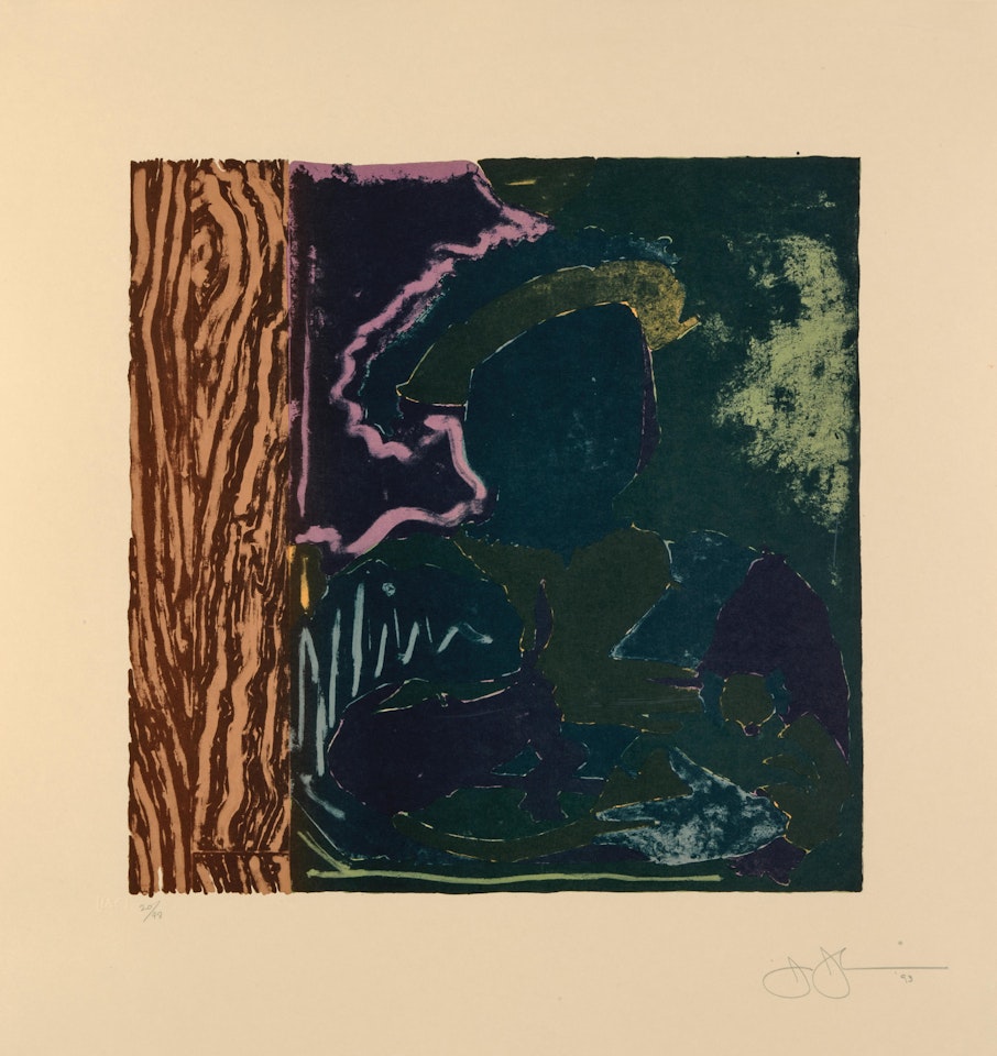 After Holbein by Jasper Johns