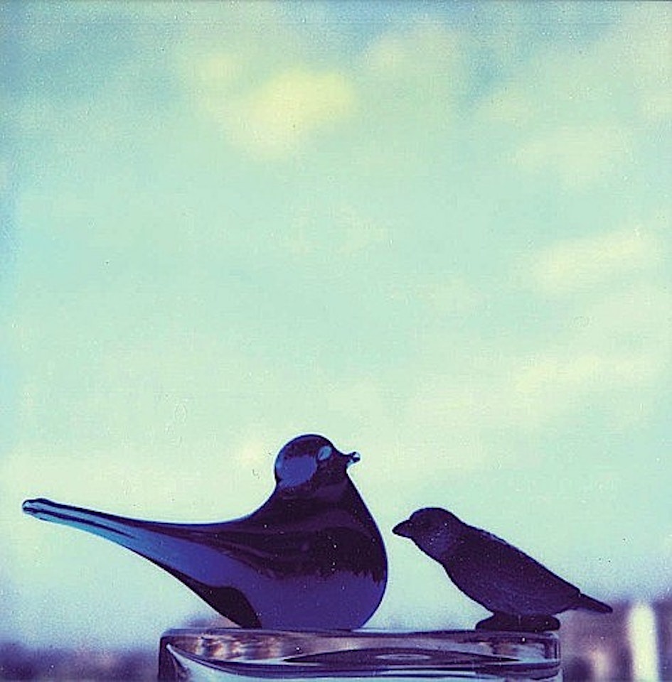 Oiseaux en verre et cendrier by André Kertész