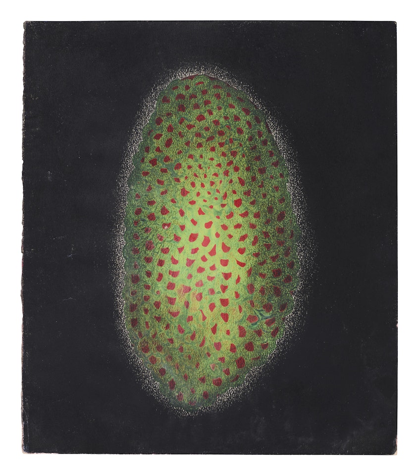 Flower by Yayoi Kusama