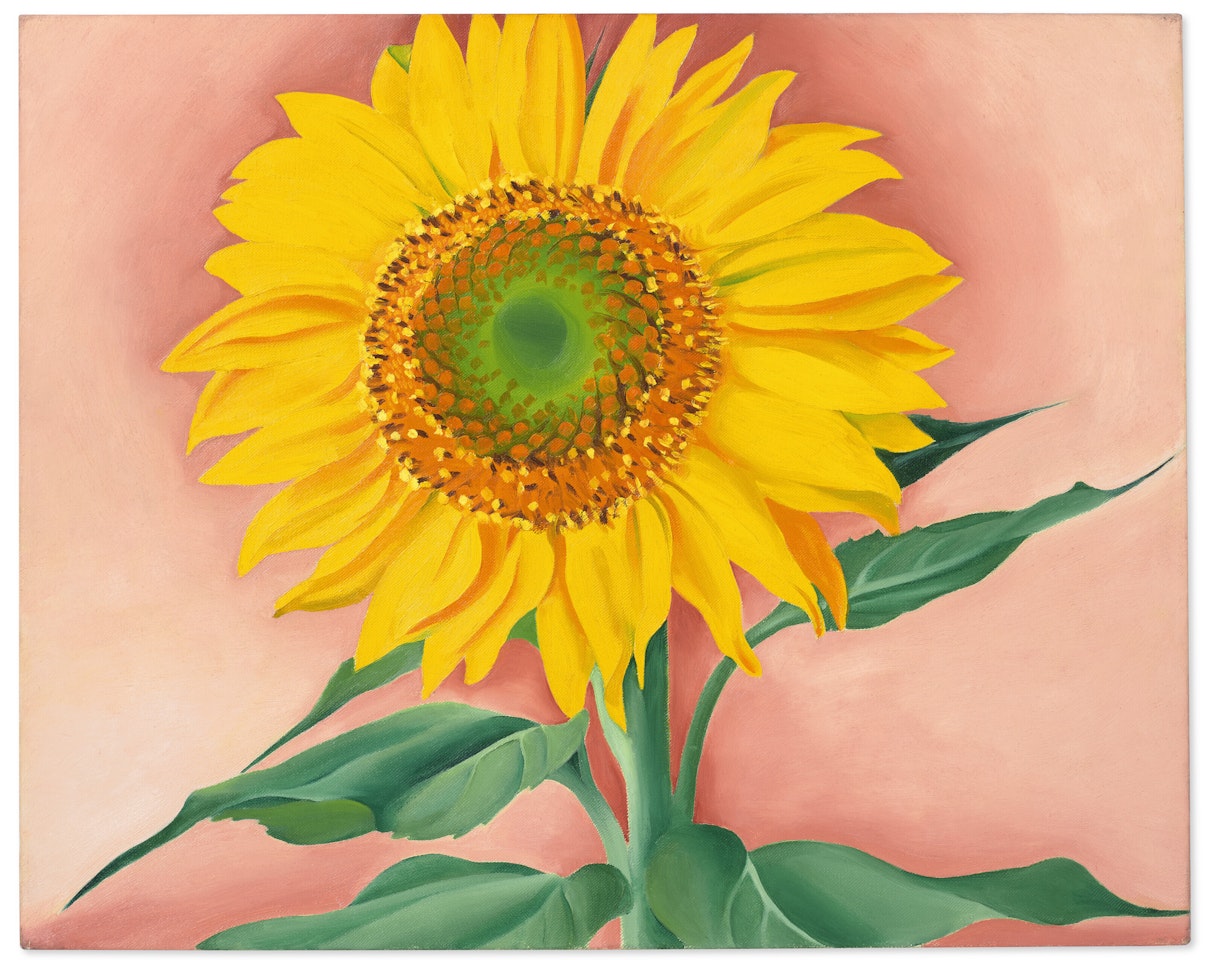 A Sunflower from Maggie by Georgia O'Keeffe