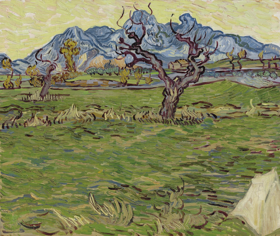 Champs près des Alpilles by Vincent van Gogh