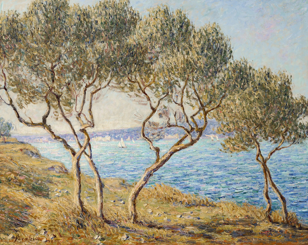 Les oliviers, effet de soleil aux Martigues by Francis Picabia