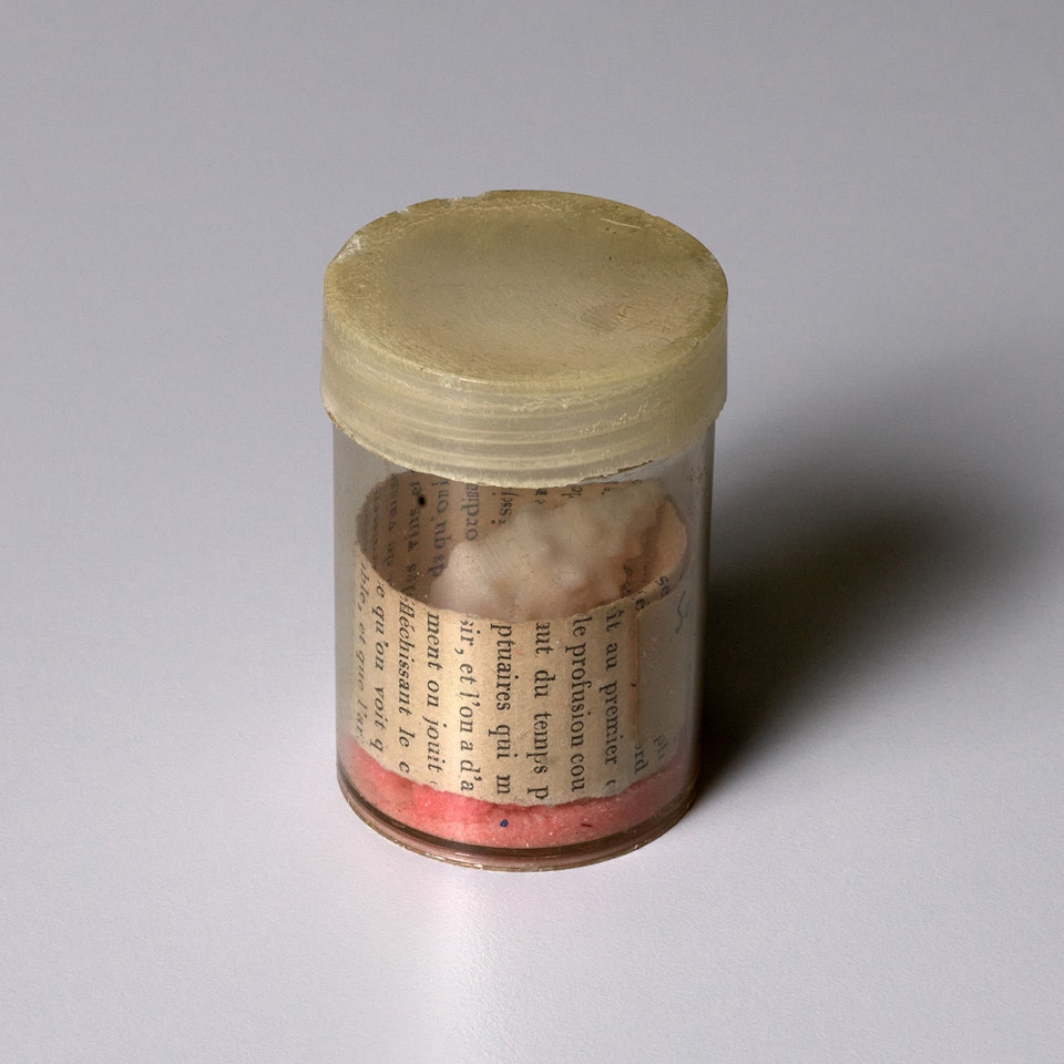 Untitled by Joseph Cornell