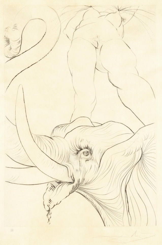 Nos it is Evening by Salvador Dali
