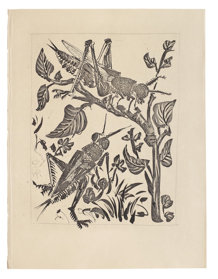 Le Sauterelle; La Langouste, from Histoire Naturelle (Eaux-fortes originales pour des textes de buffon) , 1936  (2) by Pablo Picasso