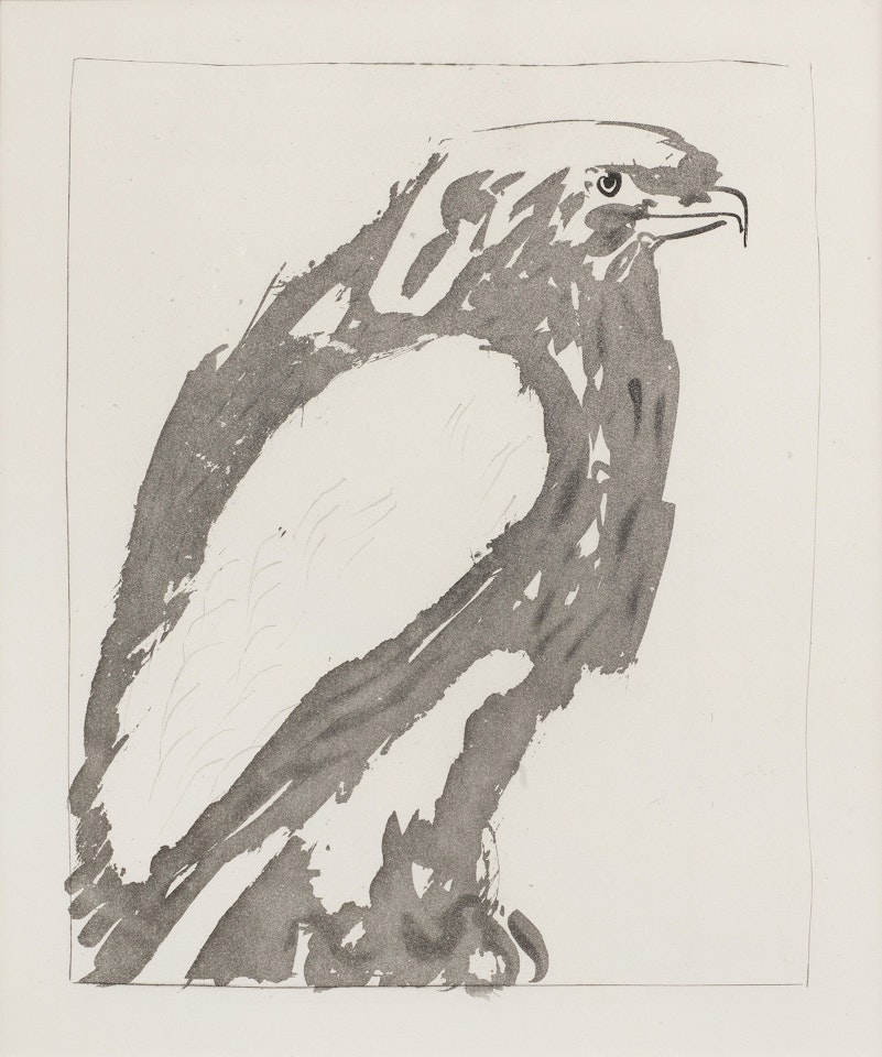 L'Aigle Blanc; L'epervier, from Histoire Naturelle (Eaux-fortes originales pour des textes de buffon), 1936 by Pablo Picasso