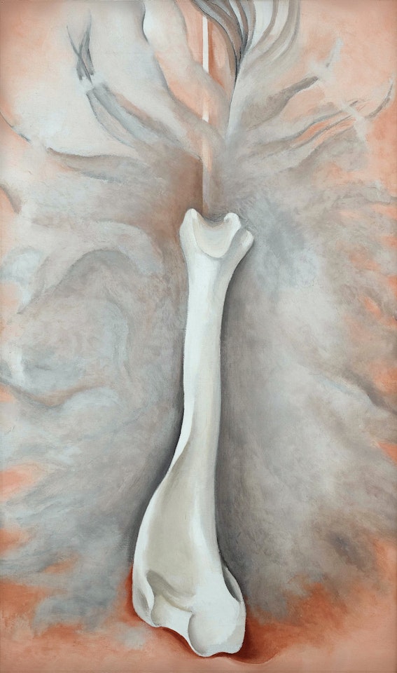 Feather with Bird's Bone by Georgia O'Keeffe