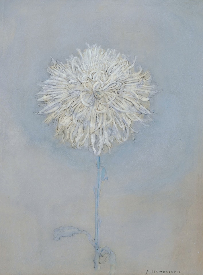Chrysanthemum by Piet Mondrian