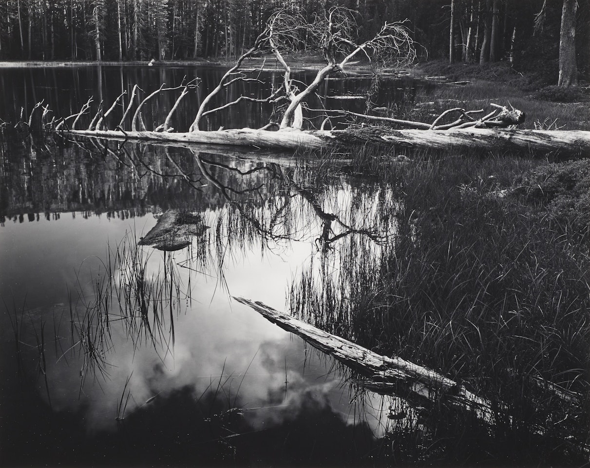 Siesta Lake, Yosemite, National Park, California by Ansel Adams