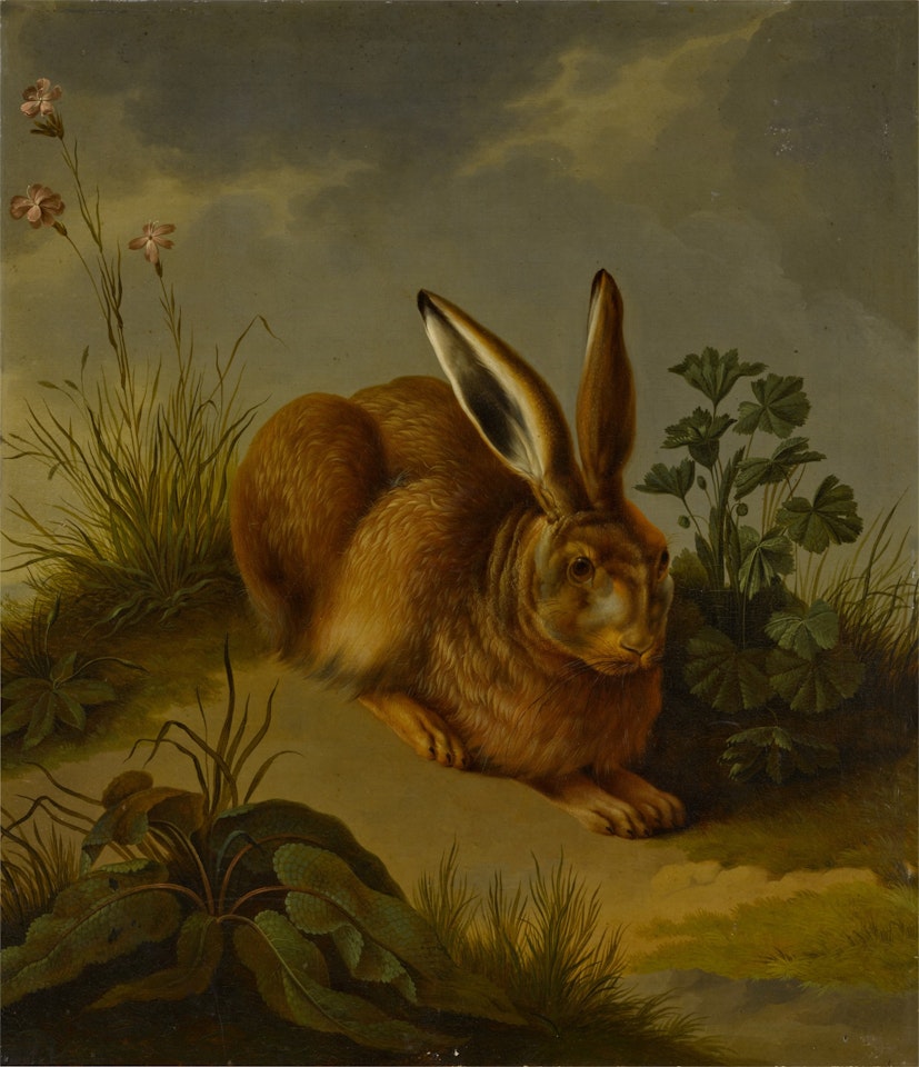 A hare among plants and grasses by German School