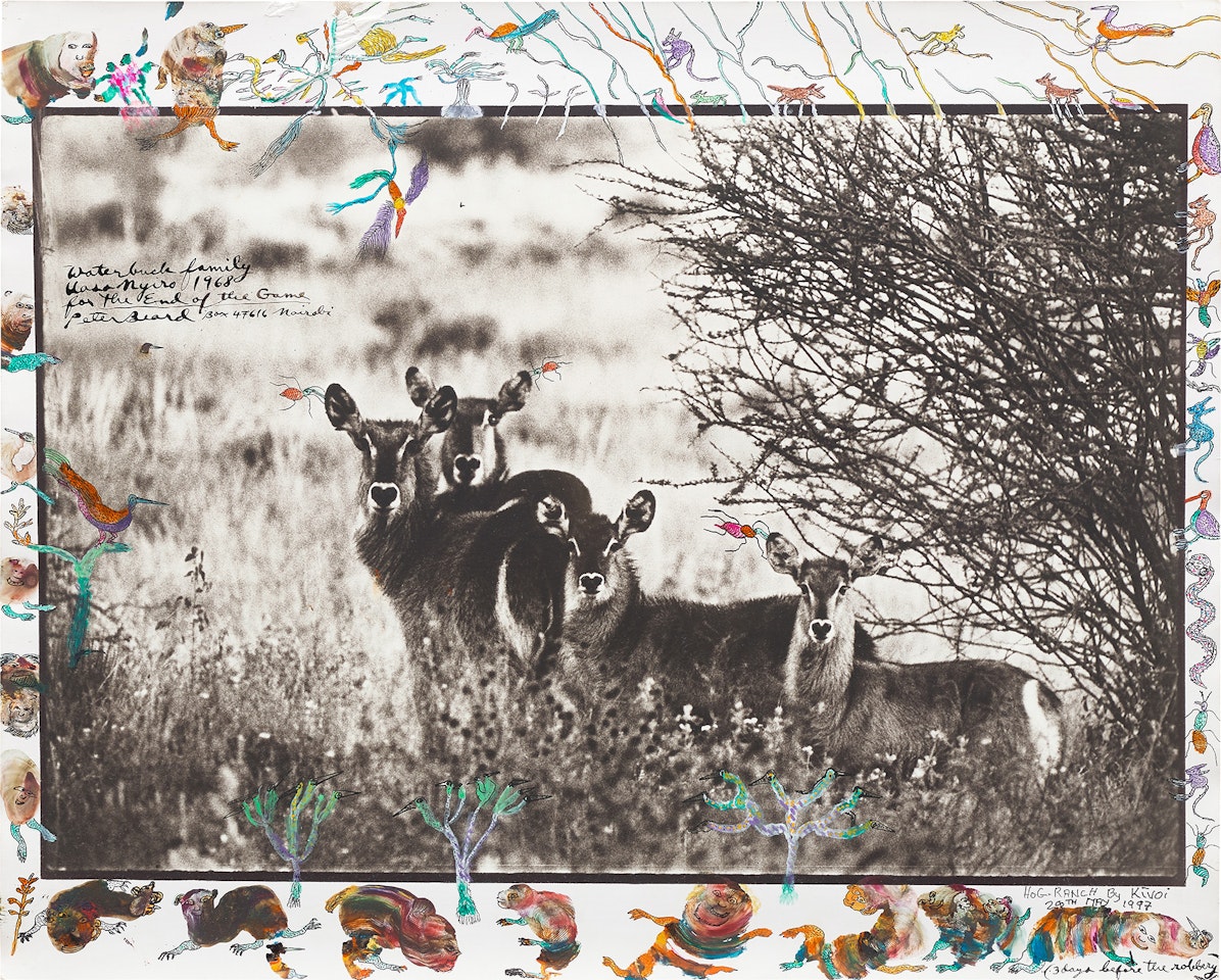 Waterbuck Family, Uaso Nyiro for The End of the Game by Peter Beard