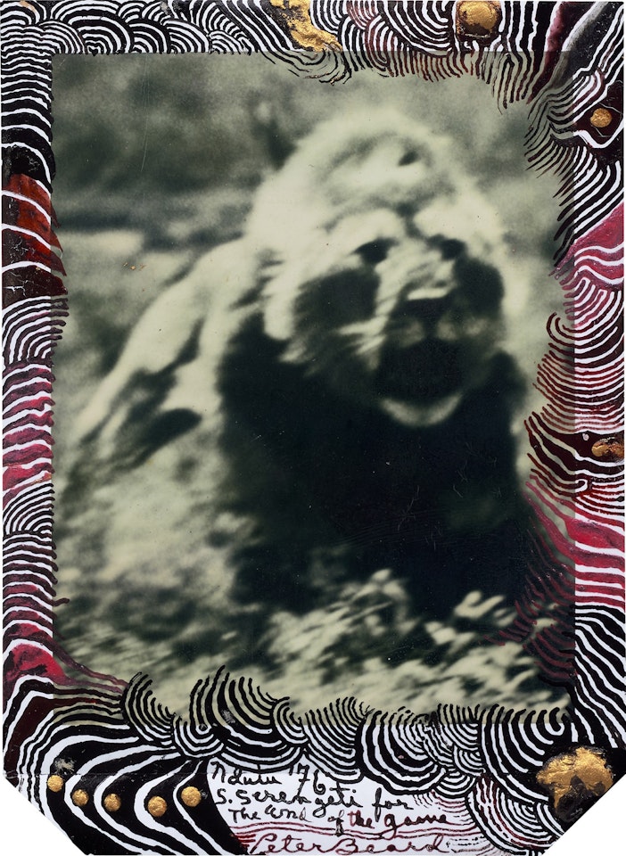 Ndutu, S. Serengeti for The End of the Game by Peter Beard