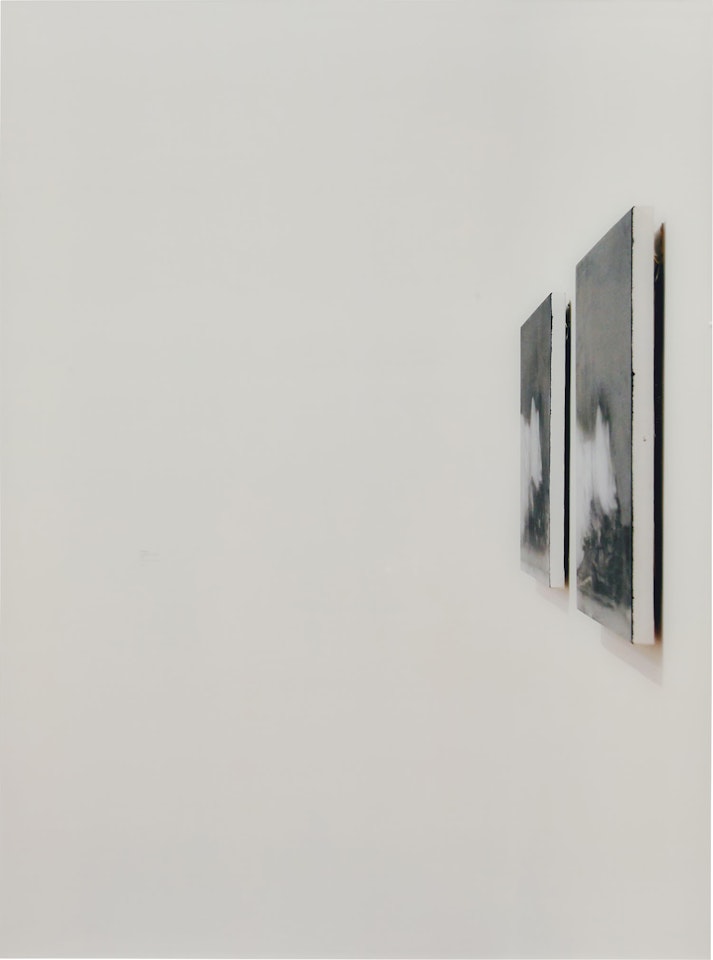30 Inches High by Louise Lawler