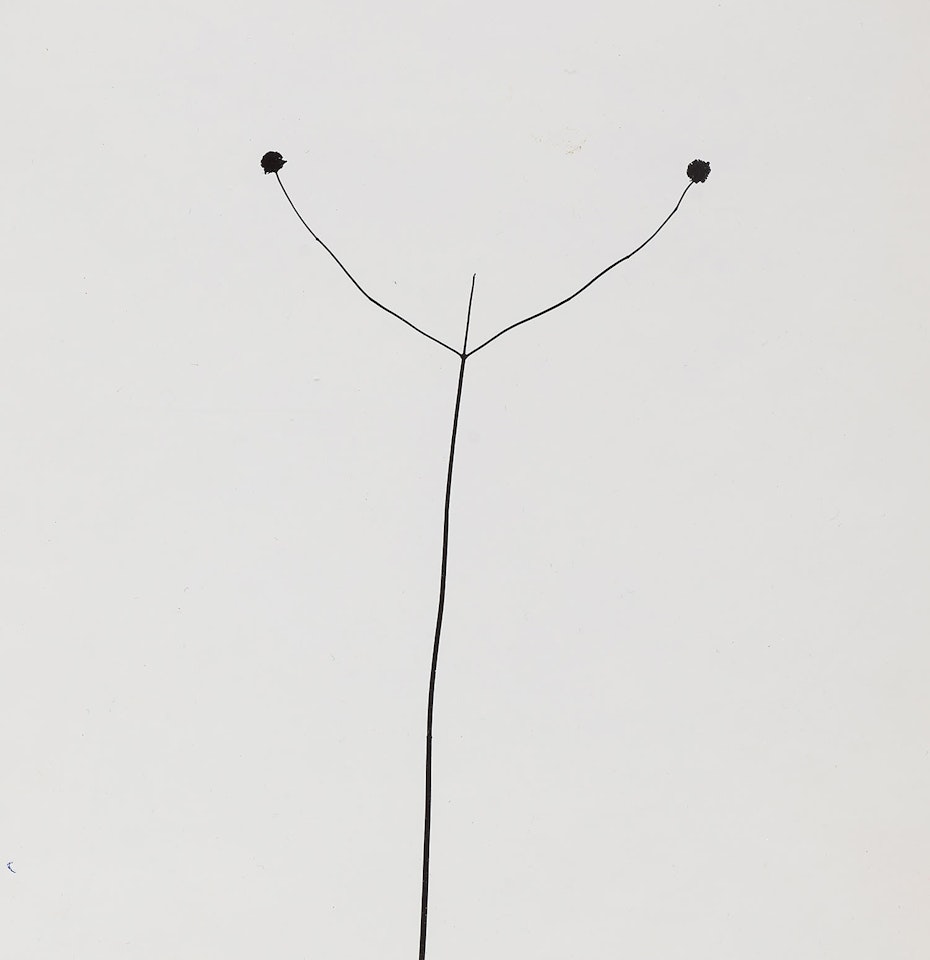 Weed Against The Sky, Detroit by Harry Callahan