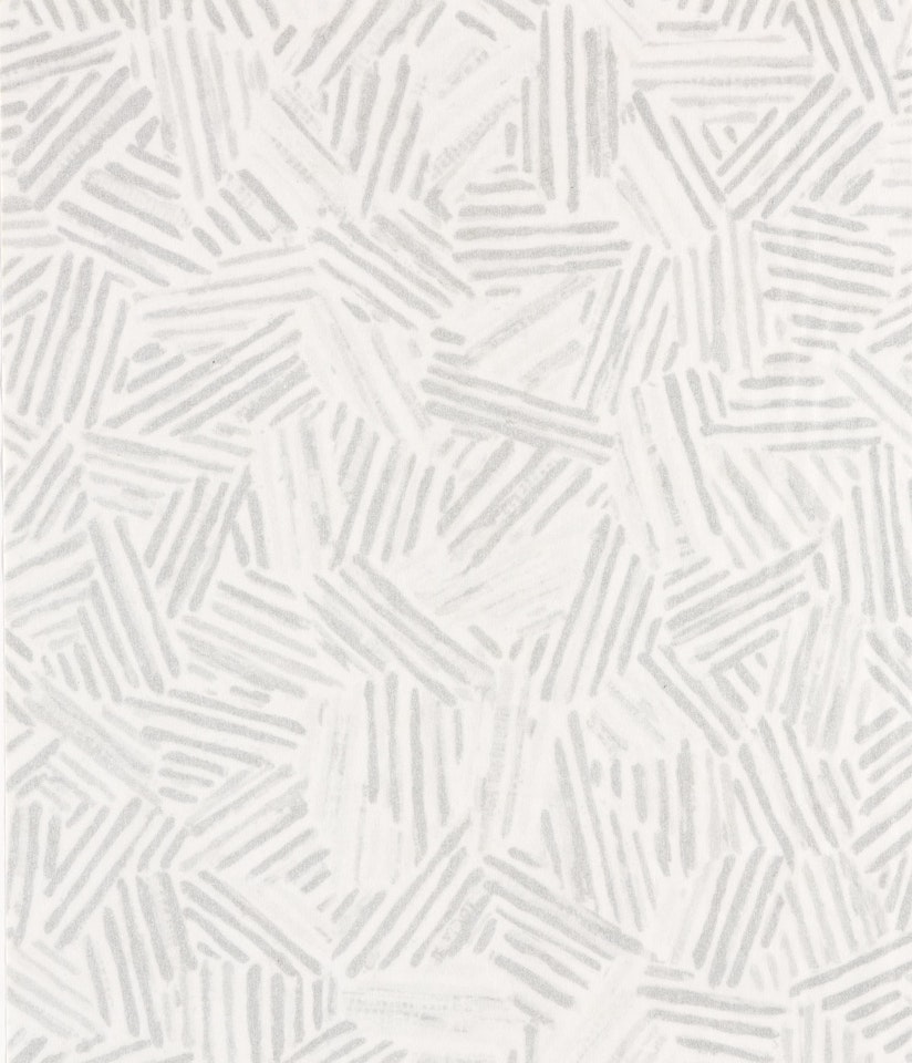 Silver Cicada by Jasper Johns