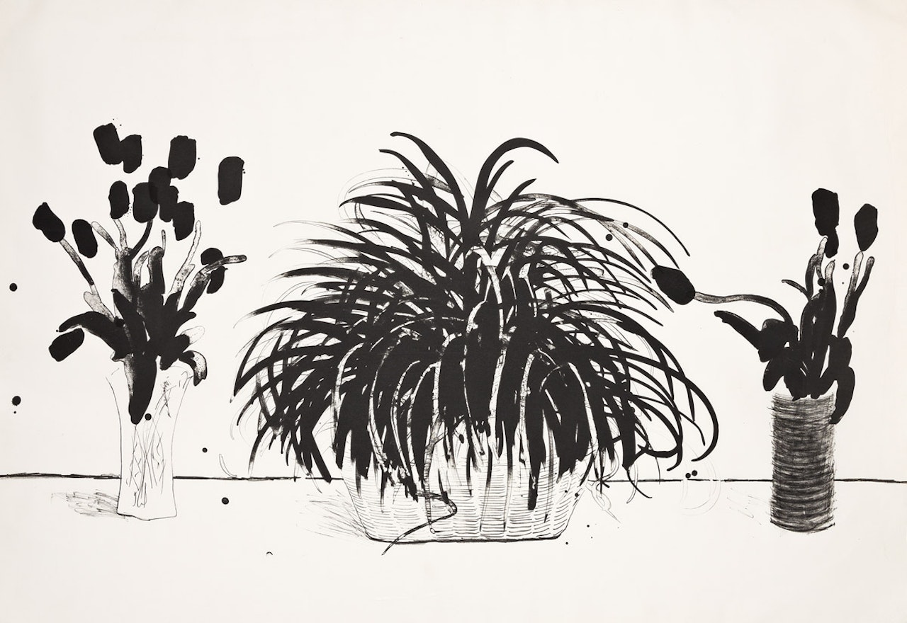 Two Vases of Cut Flowers and a Liriope Plant by David Hockney