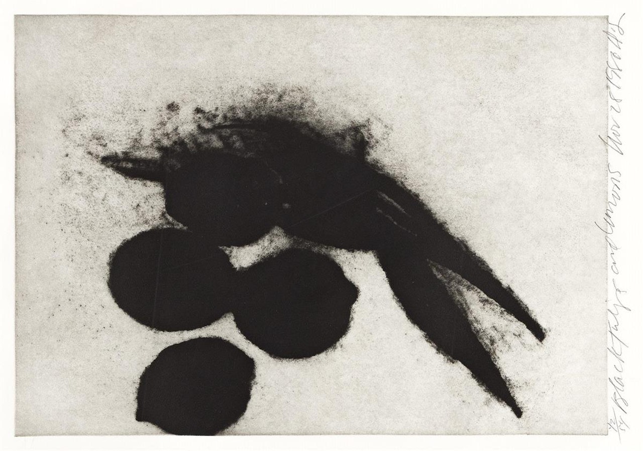 Black Tulips and Lemons by Donald Sultan