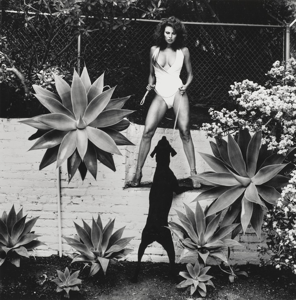 Raquel Welch in her backyard, Beverly Hills by Helmut Newton