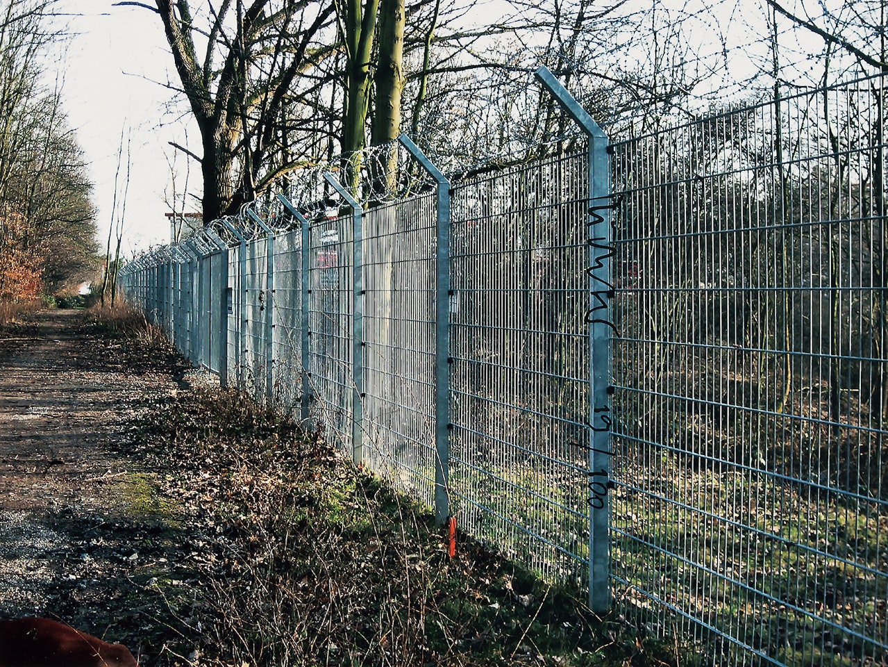 Zaun Fence by Gerhard Richter