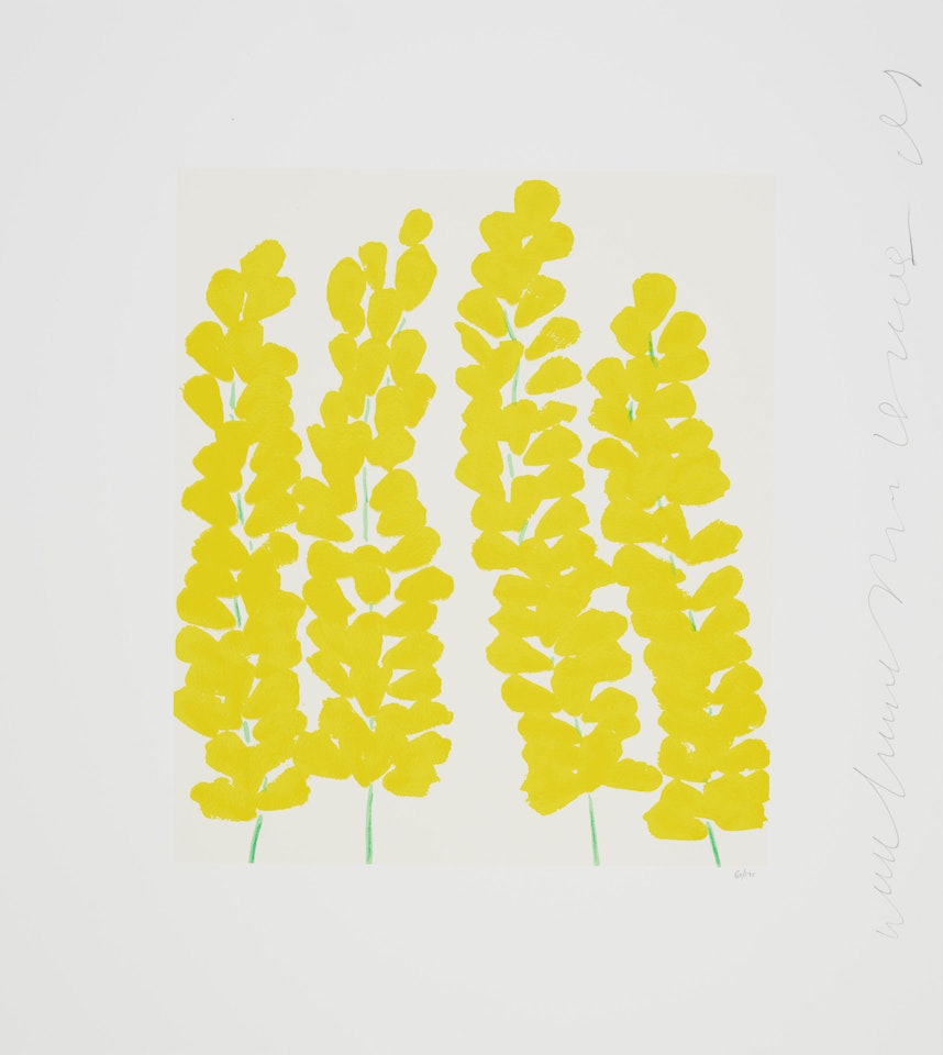 Wallflower 24, from Wallflowers Suite by Donald Sultan