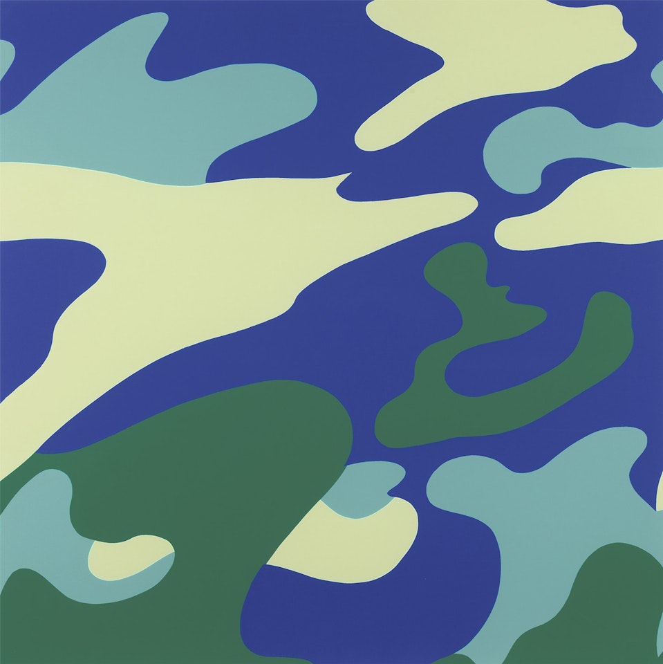 Camouflage (F. & S. 411) by Andy Warhol