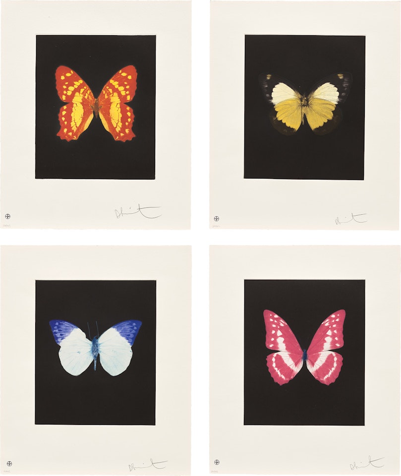 Butterfly Etchings: four plates by Damien Hirst