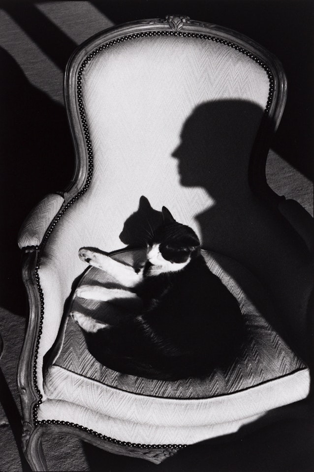 Our Cat Ulysses and Martine's Shadow by Henri Cartier-Bresson